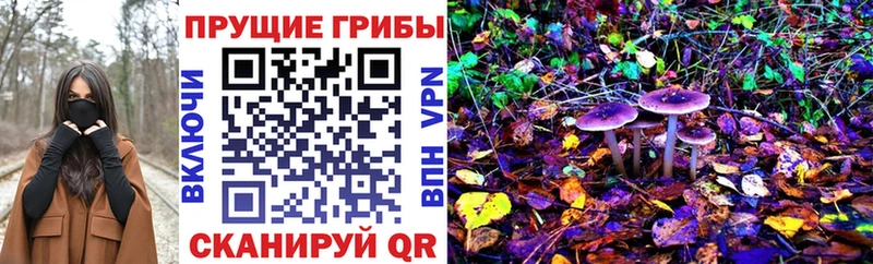 Псилоцибиновые грибы мухоморы  Купить где  Фролово 